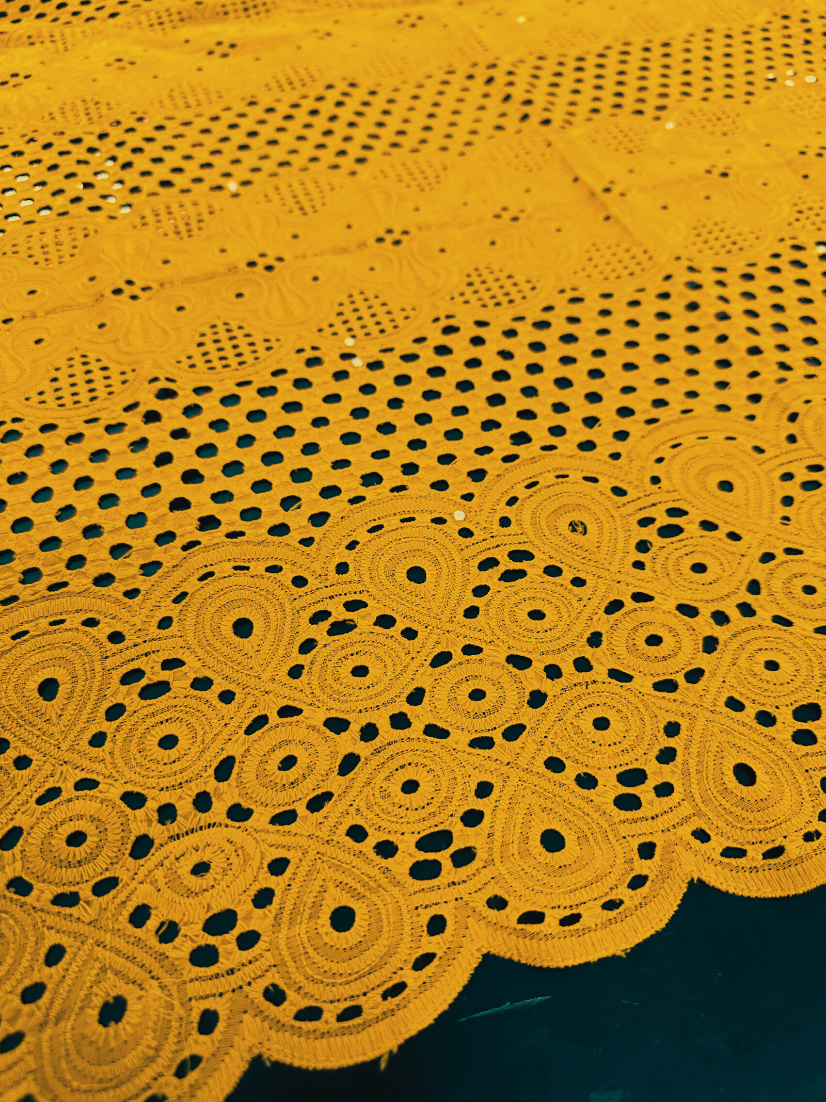 MAGNA PE0490 Mustard Yellow Embroidered Fabric